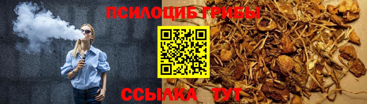 Псилоцибиновые грибы ЛСД  Галлюциногенные грибы Cubensis  Вход с VPN  Десногорск 